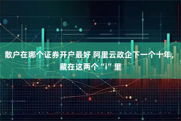 散户在哪个证券开户最好 阿里云政企下一个十年, 藏在这两个“i”里