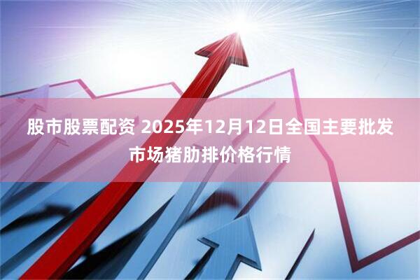 股市股票配资 2025年12月12日全国主要批发市场猪肋排价格行情