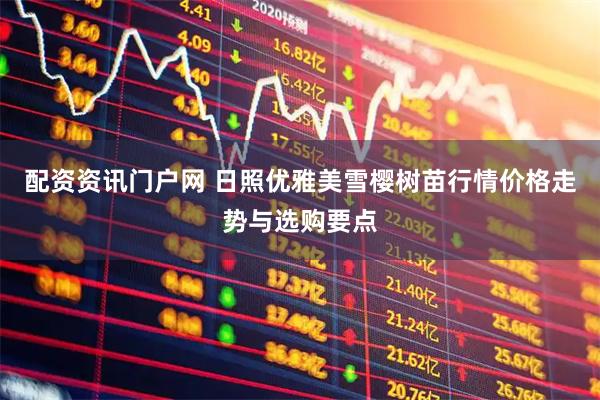配资资讯门户网 日照优雅美雪樱树苗行情价格走势与选购要点