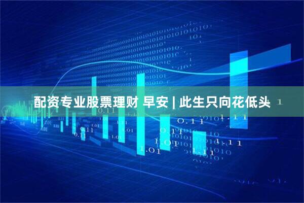 配资专业股票理财 早安 | 此生只向花低头